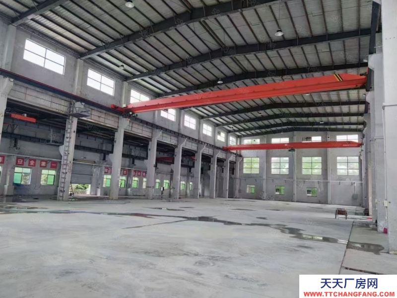 (出租) 珠海金灣獨院5萬平新廠房,全新鋼構4萬平,空地超大,大小可分租