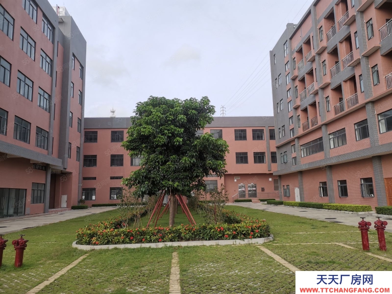 (出租) 珠海金灣紅旗開源祥廠房12900平方,花園式廠房