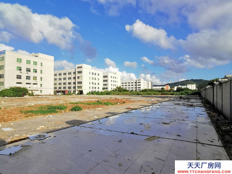 (出租) 珠海金灣小林空地30000平招租,適合停放車輛,堆放貨物等等