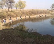 (出售) 龍潭區江北鄉大屯村山莊、別墅、土地出售