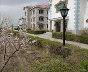 (出售) 龍潭區江北鄉大屯村山莊、別墅、土地出售