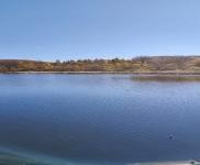 (出售) 多種經營養殖場和水庫出售，適合養殖，環境好無污染，價格面議