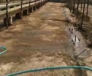 (出售) 多種經(jīng)營養(yǎng)殖場和水庫出售,適合養(yǎng)殖,環(huán)境好無污染,價格面議