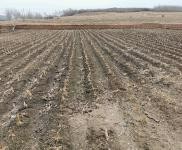 (出售) 平房出租出售，占地面積廣，可適合做養殖 汽配