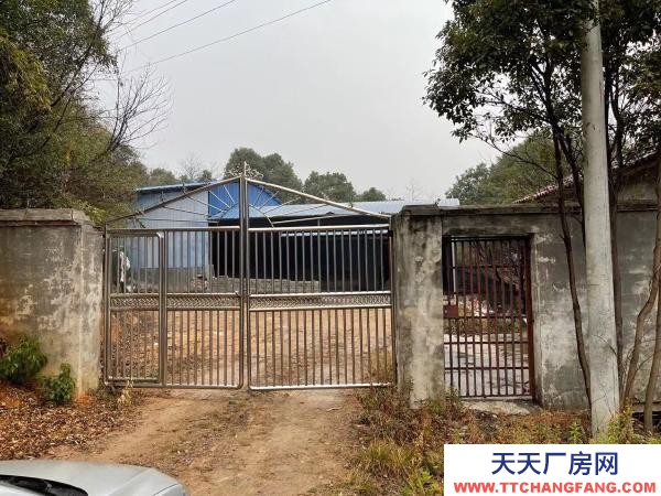 岳陽市岳陽區 107國道旁，往新開方向五百米！