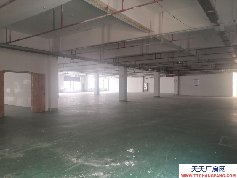 湖州童裝生產廠房出租，整層1374平方，3部電梯可用，園區直租不收中介費