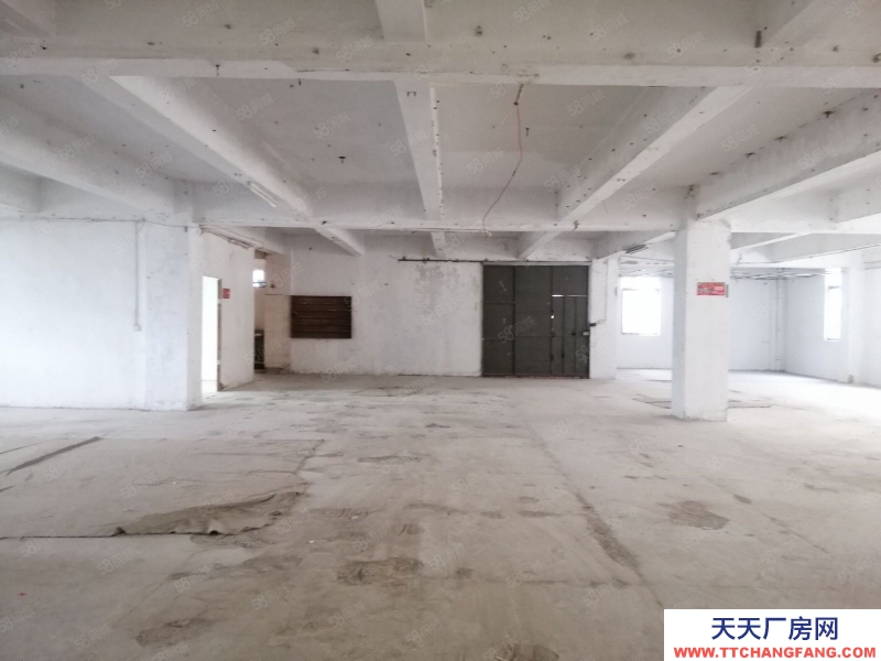 (出租) 汕頭直接業主，鳳凰山路近東廈 龍溪路 泰華工業區，正規廠房