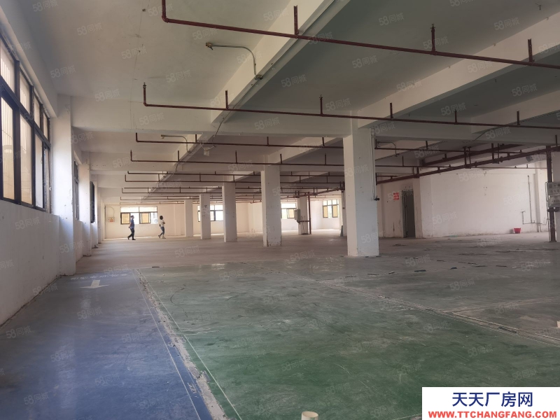 (出租) 汕頭大學路升平工業區獨立門戶帶寬埕 正規廠房二三樓1700平