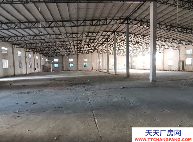 (出租) 汕頭大學路鮀浦段靠近月浦溝南純1樓占地900平鋼結構廠房滴水8米