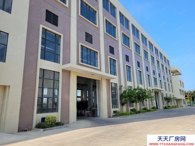 (出租) 汕頭濠江保稅區15000平可分割出租，1樓層高12米配有天車地磅