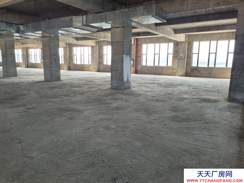 (出租) 汕頭濠江保稅區15000平可分割出租，1樓層高12米配有天車地磅