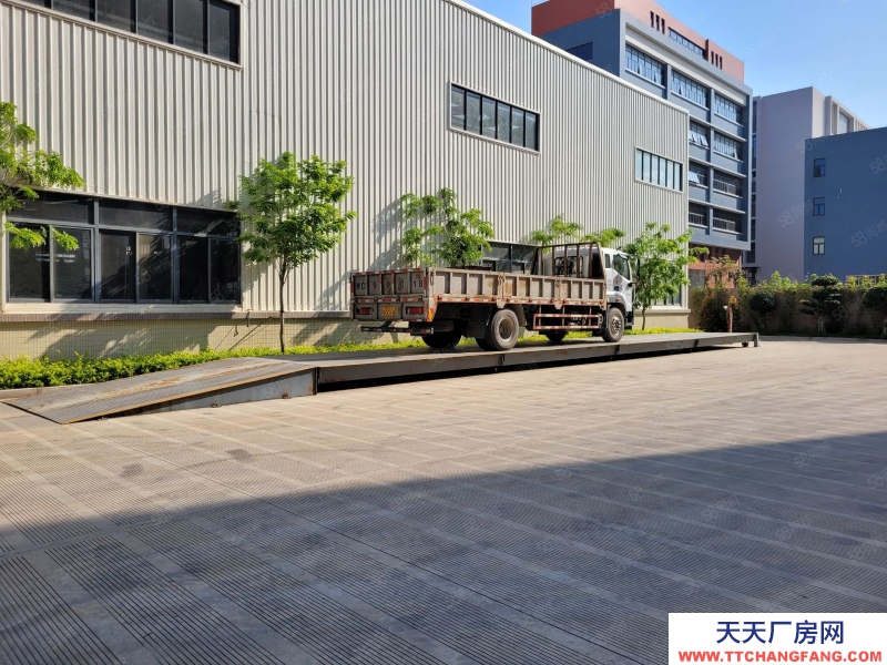 (出租) 汕頭濠江保稅區15000平可分割出租，1樓層高12米配有天車地磅