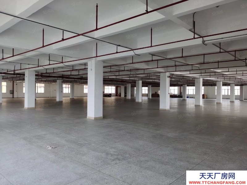 (出租) 汕頭和平鎮廠房一層過3000平方