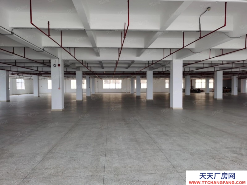 (出租) 汕頭和平鎮廠房一層過3000平方