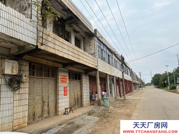 岳陽(yáng)市汨羅區(qū)白塘鄉(xiāng)長(zhǎng)山鎮(zhèn)上整棟出售