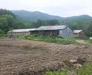 (出售) 吉林蛟河天崗鎮(zhèn)周邊養(yǎng)殖基地