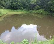 (出售) 吉林蛟河天崗鎮(zhèn)周邊養(yǎng)殖基地