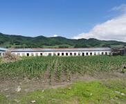(出售) 低價出售，出租蛟河市慶嶺鎮靠江村小學廠房出租出售