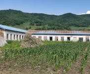 (出售) 低價出售，出租蛟河市慶嶺鎮靠江村小學廠房出租出售