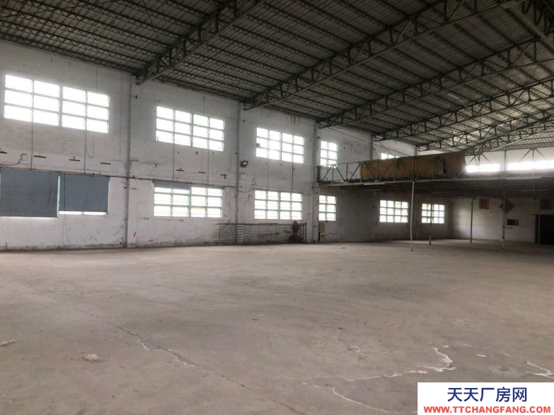 (出租) 汕頭單層鐵棚8米滴水，路道14米，有變壓，可行平板貨柜