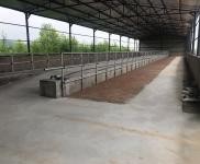 (出租) 倉庫、廠房、養牛棚出租