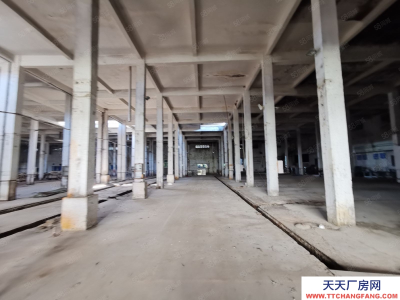 (出租) 汕頭兩英首層樓房倉庫3500平方