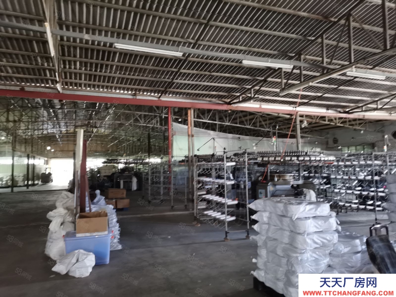 (出租) 汕頭司馬實驗學校附近鋼結構廠房5000平方