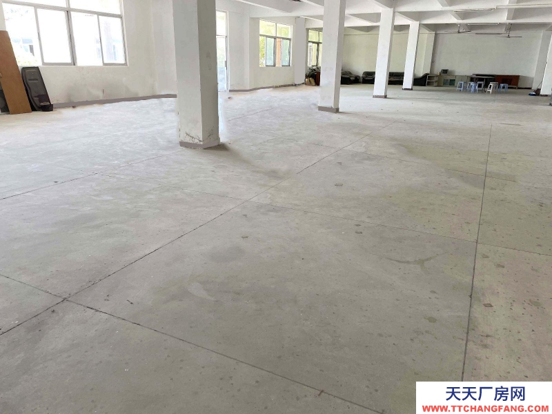 (出租) 汕頭濠江倉庫內(nèi)有超大停車場