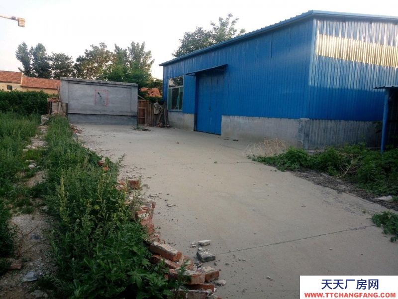 濱州鄒平史營村400平方鋼結構大棚，附帶民房，可用做倉庫，水電齊全，