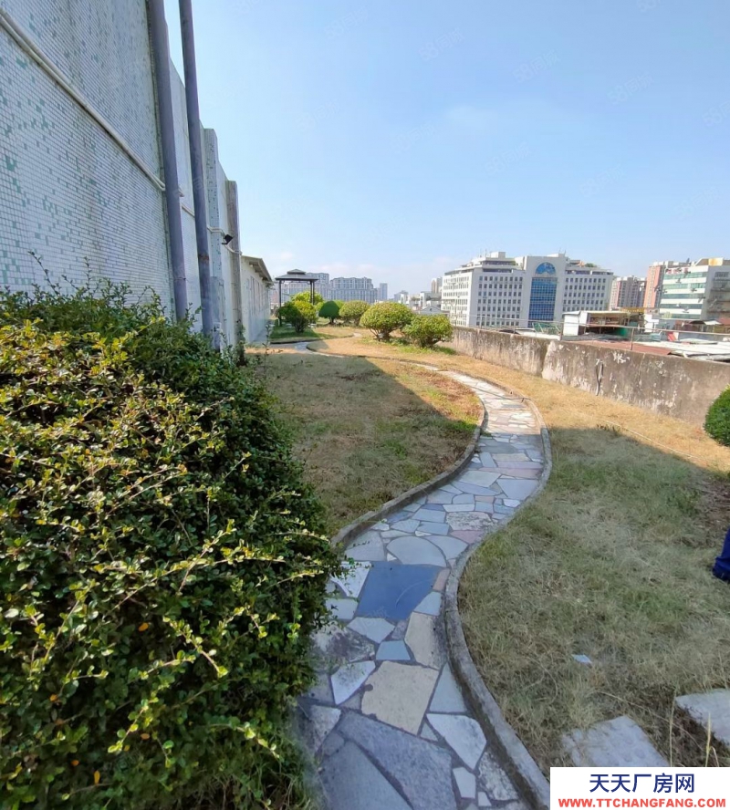 (出售) 汕頭衡山路 御景江南對面 電梯8樓 帶天面一層 實用面積大