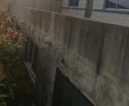 (出租) 出租四平鐵西太平溝七隊(duì) 農(nóng)村大院