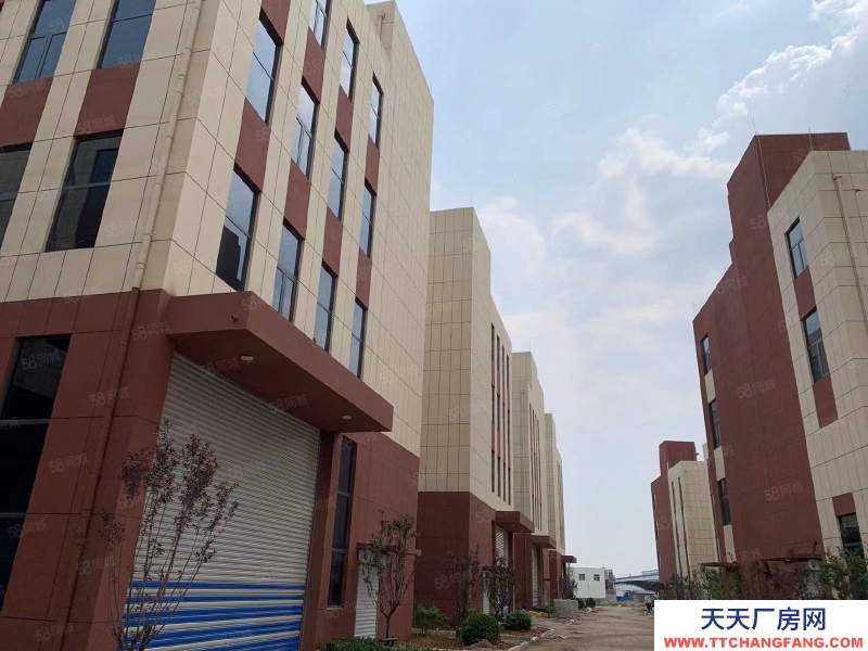 萊蕪唯一一家獨立產權的花園式廠房