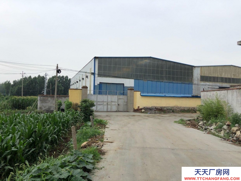 萊蕪西收費站廠房出租1500平