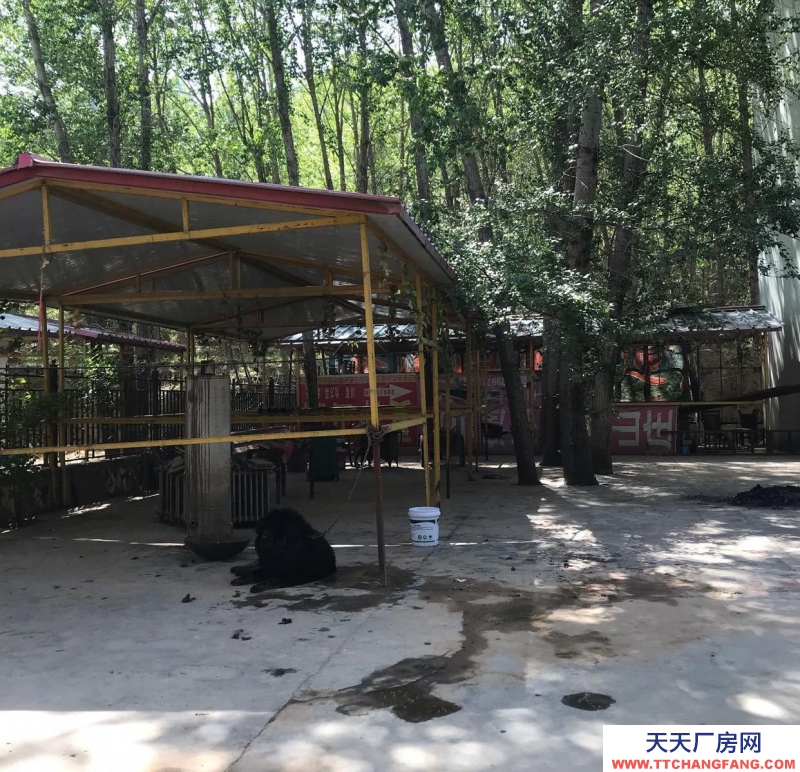 西寧獨立小院 占地兩畝 交通便利 院外有單獨的停車場