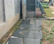 (出售) 遼源安國(guó)四隊(duì)平房出賣(mài)200多平米快要?jiǎng)舆w了