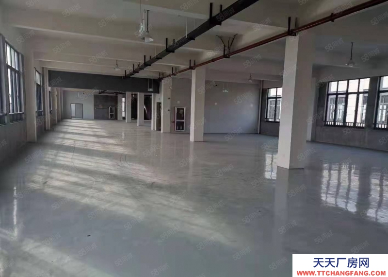 湖州吳興(出租) 房東直租880平標準廠房出租