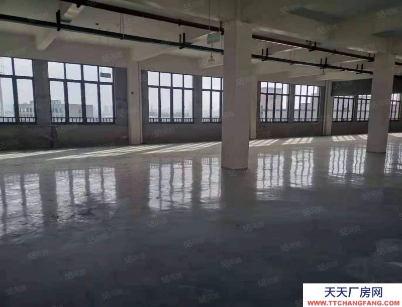 湖州吳興(出租) 房東直租880平標準廠房出租