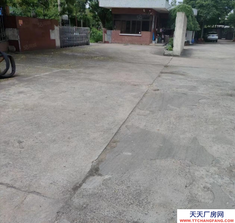 湖州吳興(出租) 房東直租1000平廠房出租埭溪鎮