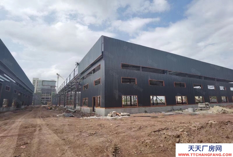 (出租) 江門蓬江新高端工業廠房出租