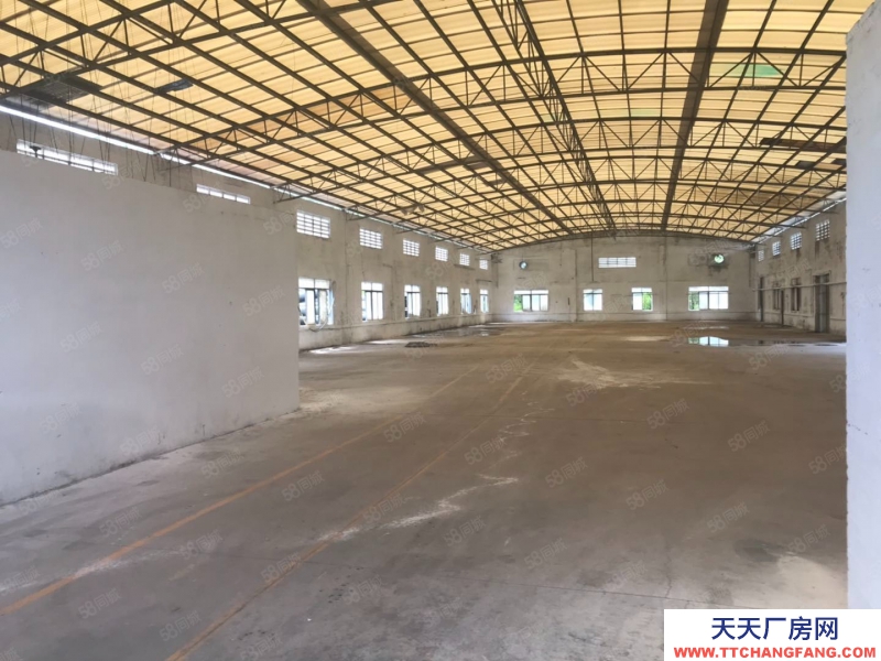 (出租) 蓬江區(qū)9元廠房出租 格局方正采光好 交通方便