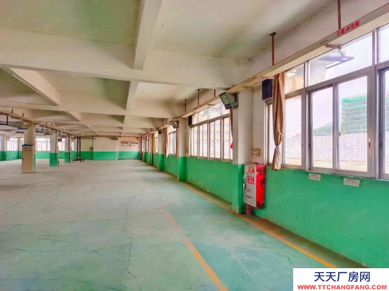 (出租) 蓬江紅本標(biāo)準(zhǔn)廠房倉庫出租300起租（每平方8元起租）