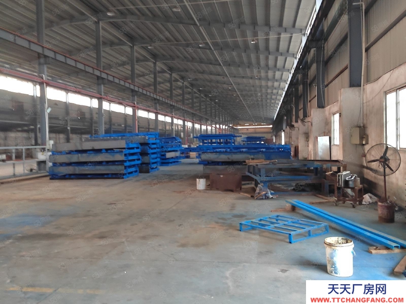 (出租) 江門新會標準 單一層 行業不限實惠出租！