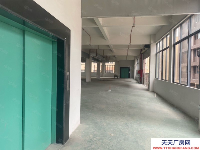 (出租) 江門睦州新沙獨(dú)門獨(dú)院11240方 紅本廠房出租