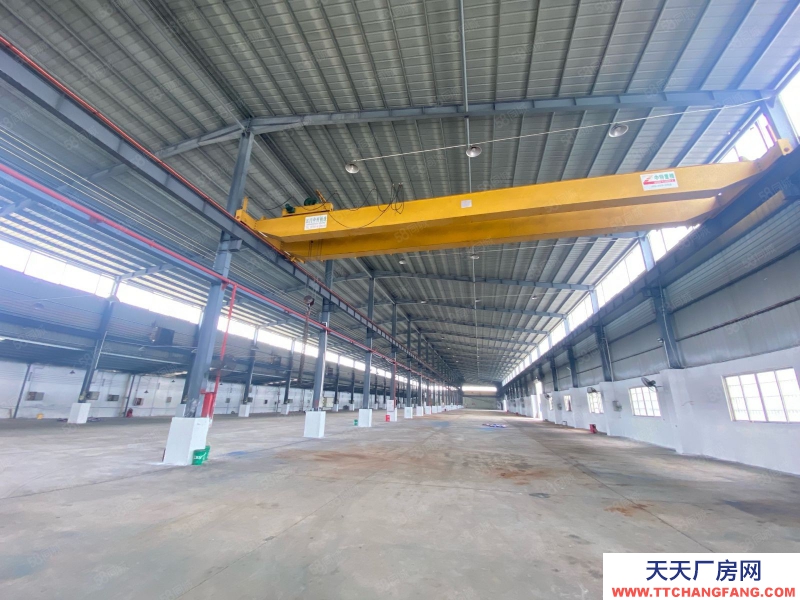 (出租) 江門新會12米高獨(dú)院鋼構(gòu)廠房帶十噸航軌廠房可分租