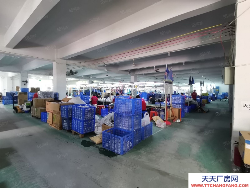 (出租) 江門江海高新區高新西路大型工業園出租三樓精裝整層3900平方可分