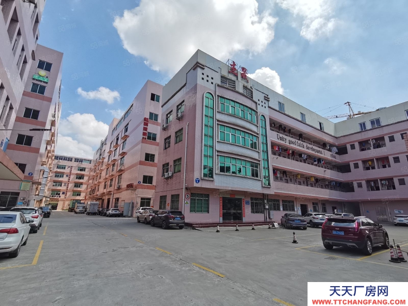 (出租) 江門江海高新區(qū)高新西路大型工業(yè)園出租三樓精裝整層3900平方可分