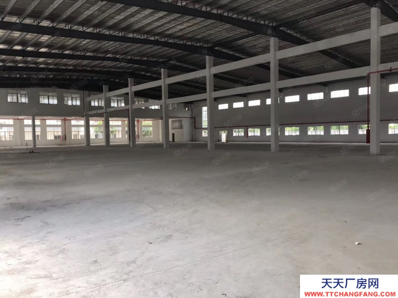 (出租) 江門江海區(qū) 全新單一層8000方 可分 租