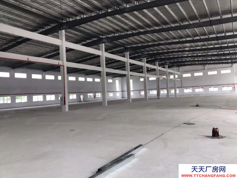 (出租) 江門江海區(qū) 全新單一層8000方 可分 租