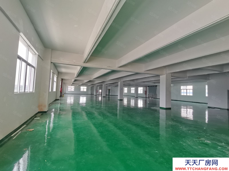 (出租) 江海高新區南山高速出口附近精裝,一二樓3200平方出租