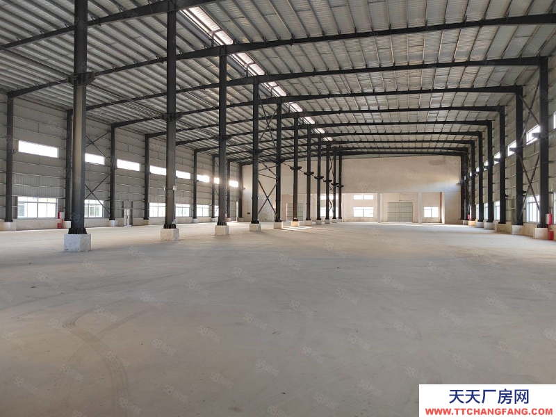 (出租) 江門臺山全新獨院13米高單一層廠房倉庫20000平方出租